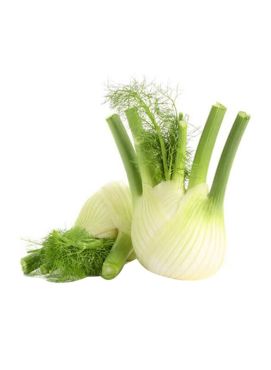 Fennel Holland Pack 500 G